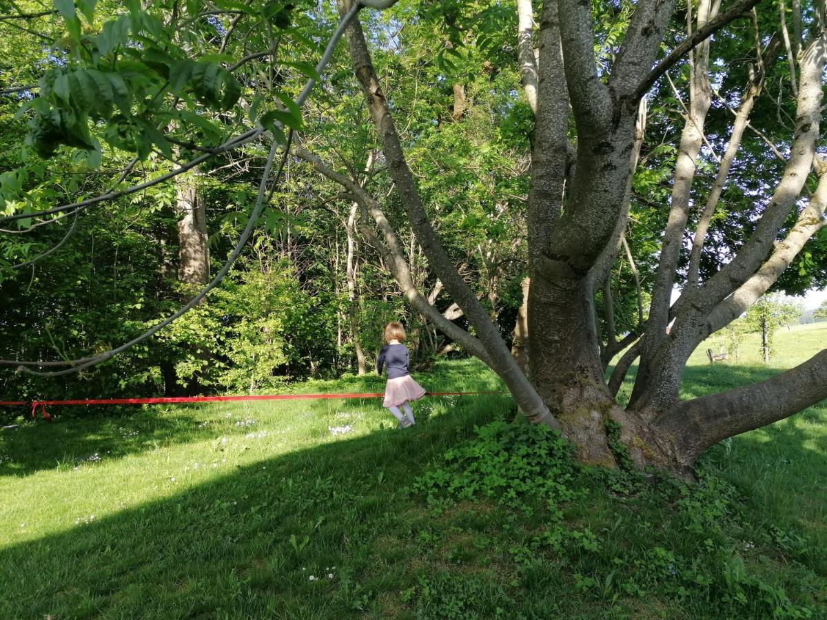 5Sterne Ferienwohnung Im Fachwerk Mit Bergblick In Alleinlage Und Grossem Garten, Infrarotkabine Humberg 외부 사진