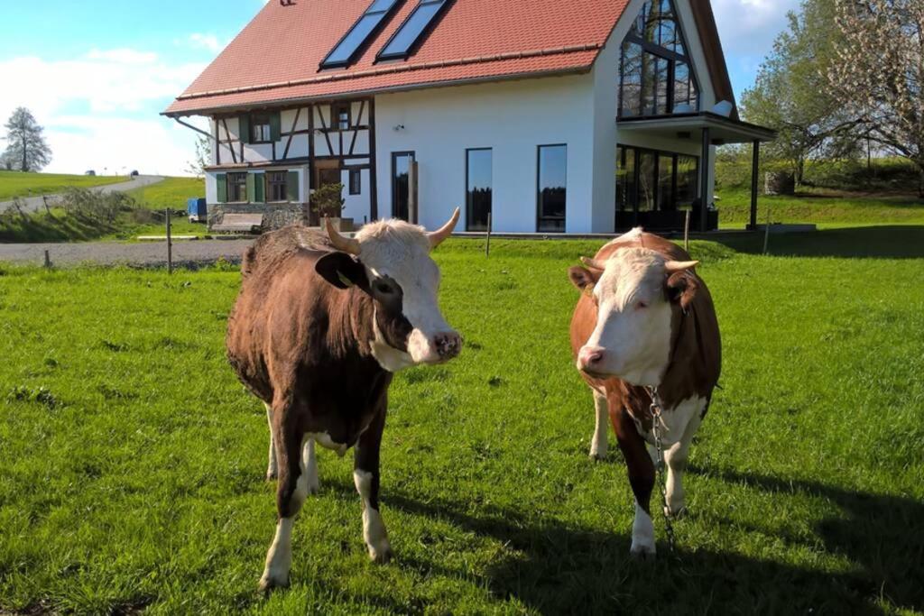 5Sterne Ferienwohnung Im Fachwerk Mit Bergblick In Alleinlage Und Grossem Garten, Infrarotkabine Humberg 외부 사진