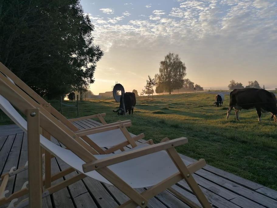 5Sterne Ferienwohnung Im Fachwerk Mit Bergblick In Alleinlage Und Grossem Garten, Infrarotkabine Humberg 외부 사진