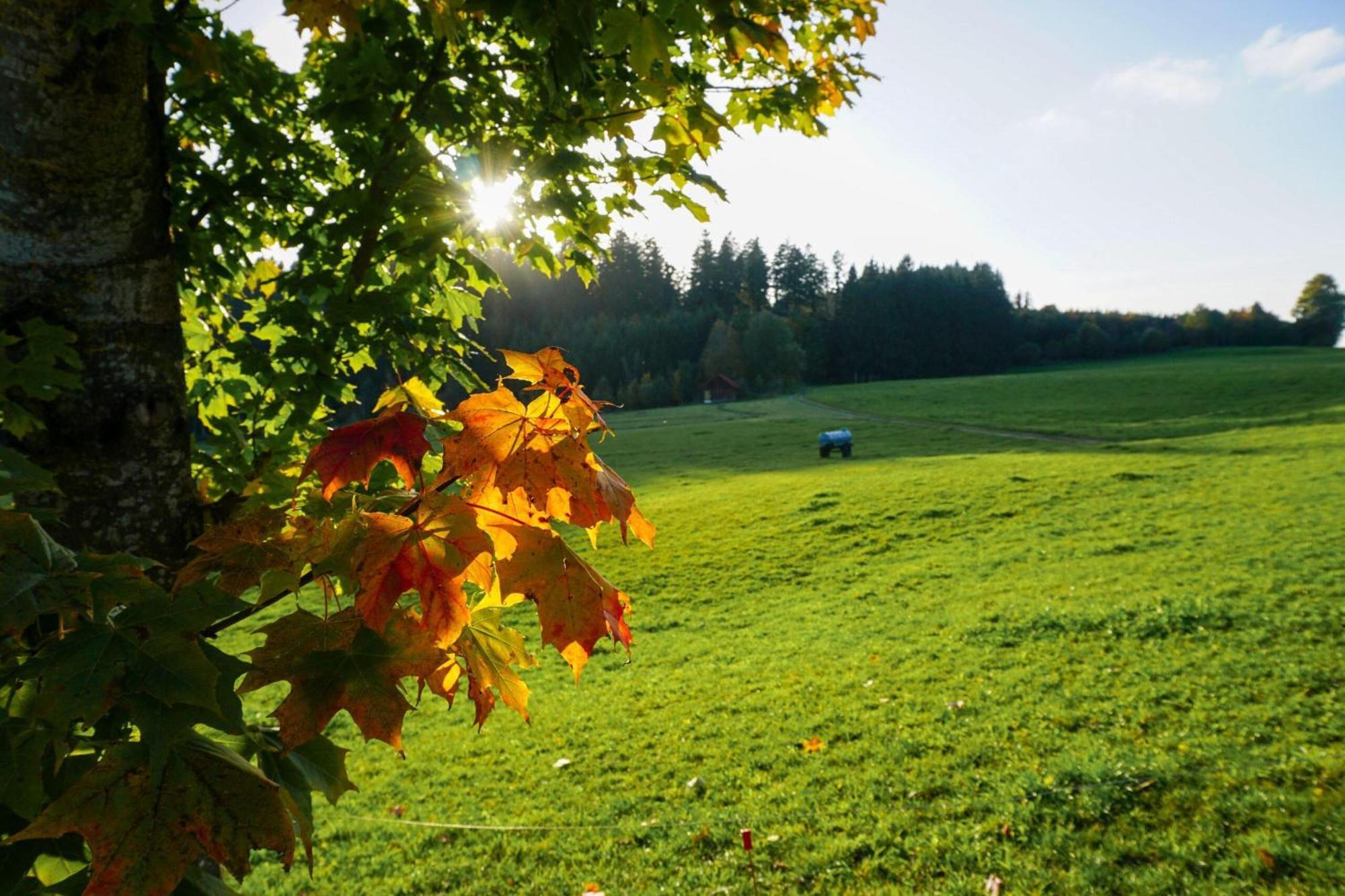 5Sterne Ferienwohnung Im Fachwerk Mit Bergblick In Alleinlage Und Grossem Garten, Infrarotkabine Humberg 외부 사진